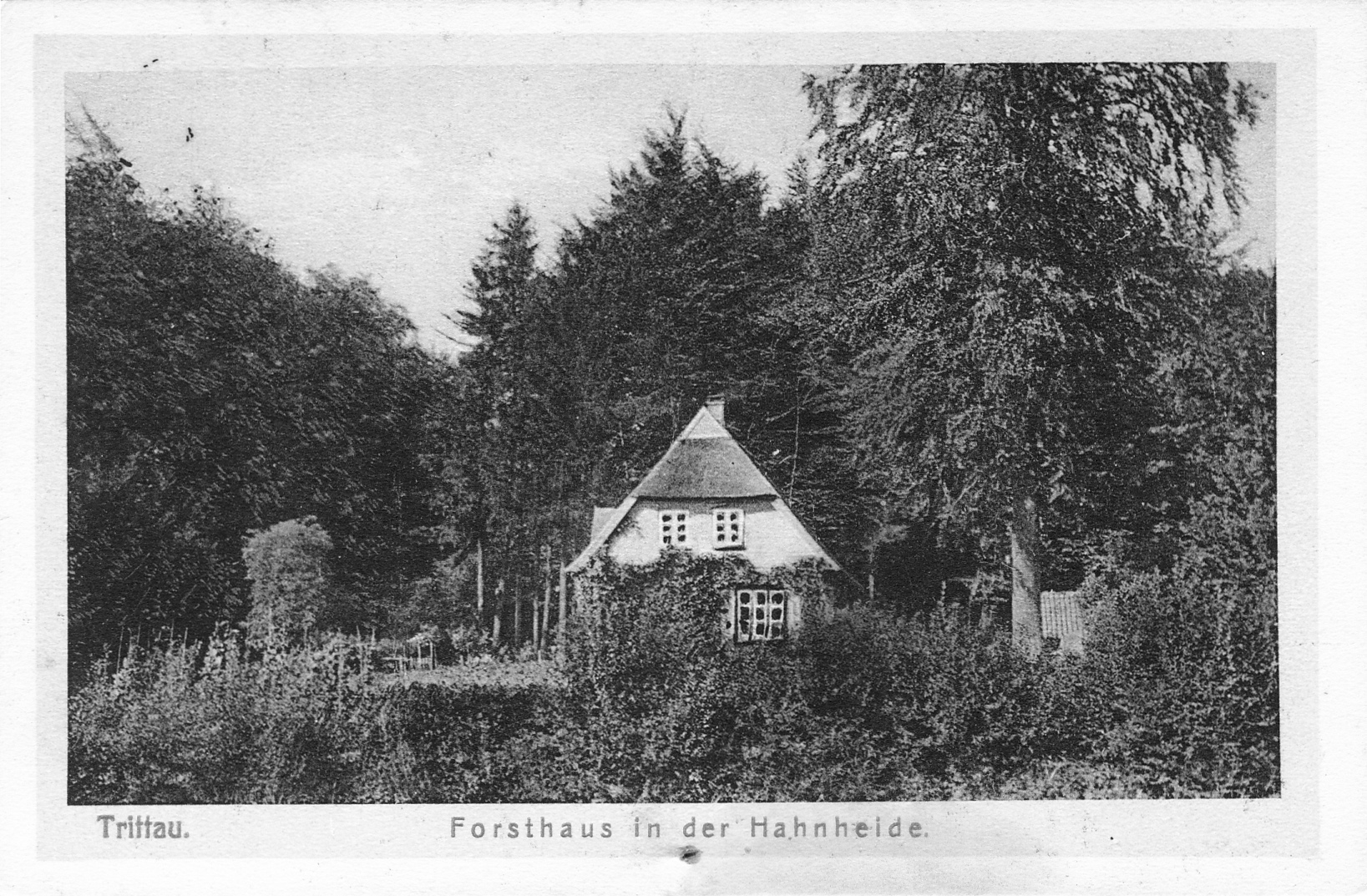 Trittau: Forsthaus Hahnheide