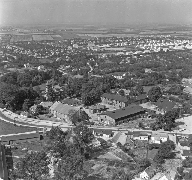 Glinde: Gutshaus mit Stallungen (Möllner Landstraße 53): Luftbild: im Hintergrund Wohngebiet zwischen dem Willinghuser Weg und dem Papendieker Reeder, 1954