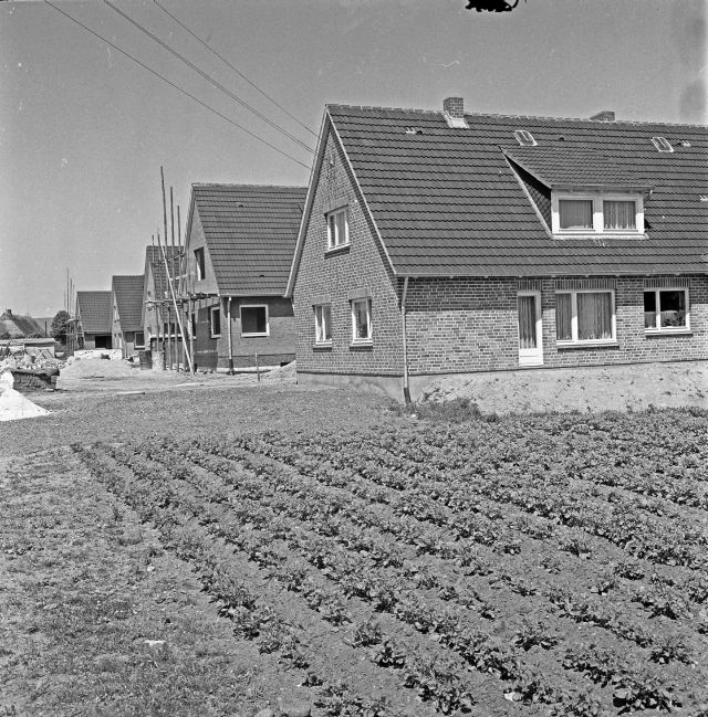 Hammoor: Baustelle mit Wohngebäuden, vorne rechts ein Beet, 1963