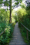 Moorwanderweg am Ahrensburger Tunneltal