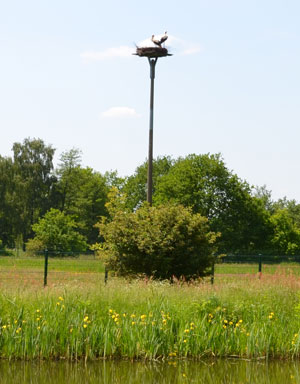 Barsbüttel (OT Stemwarde)