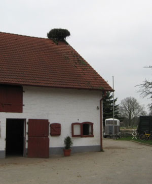 Großensee
