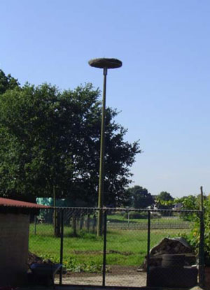 Hammoor