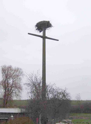 Heilshoop