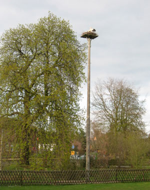 Steinburg (OT Sprenge)