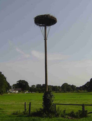 Tangstedt