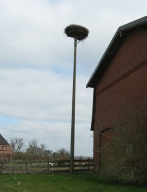 Westerau