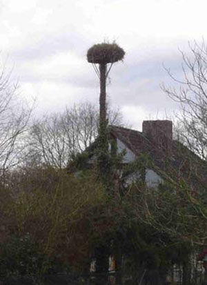 Wiemerskamp