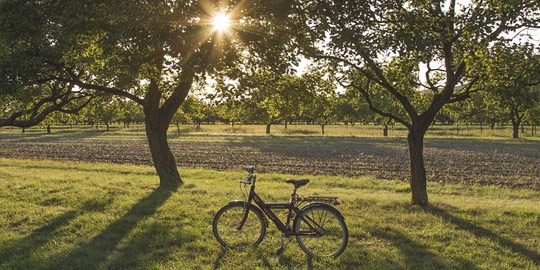 Radwandern in Stormarn