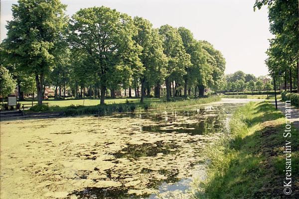 Dorfanger in Bargfeld-Stegen