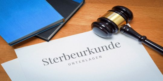 Mortalitätserfassung