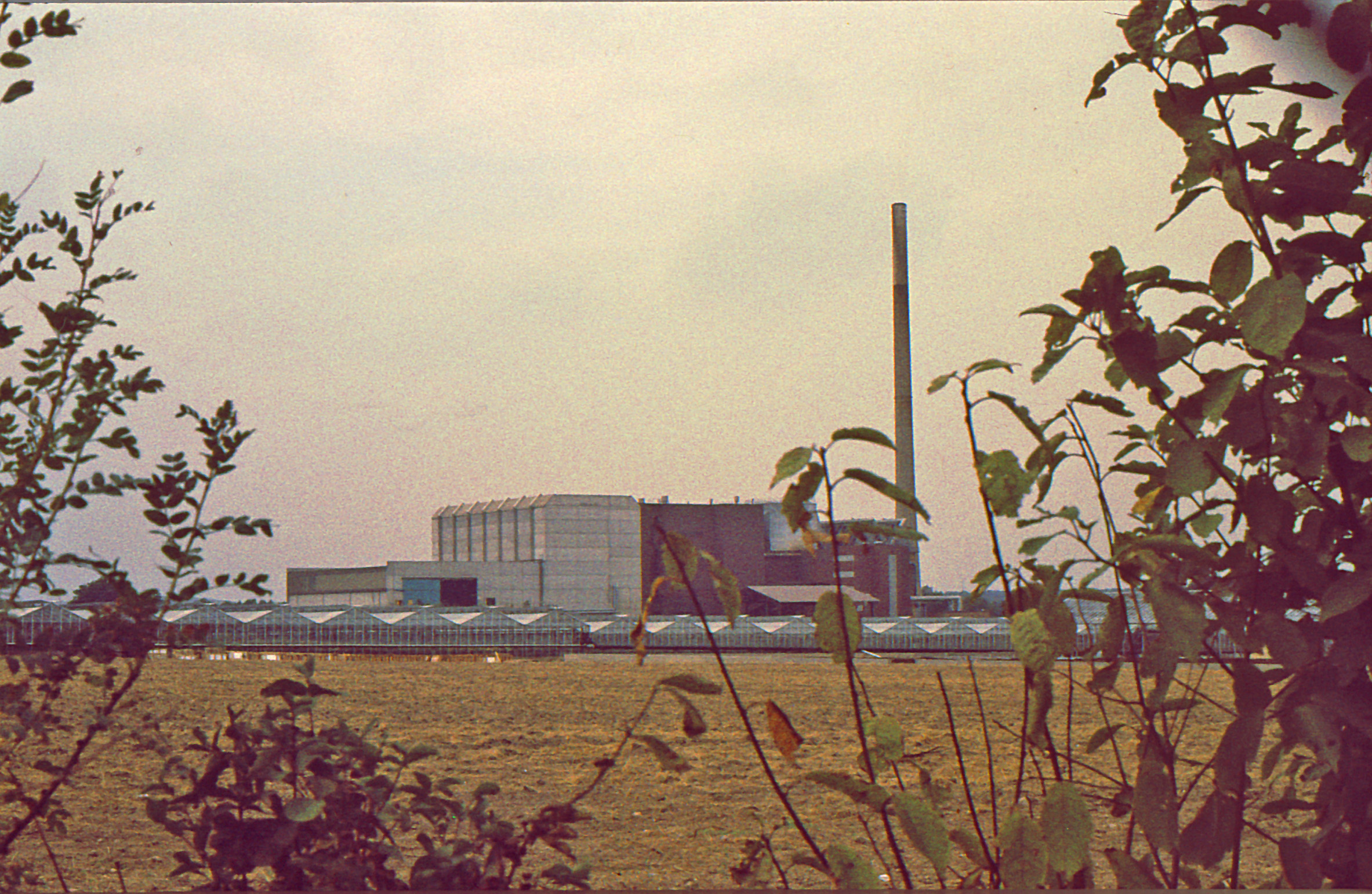 T10/1003:  BU: Stapelfeld; Müllverbrennungsanlage, in Vordergrund Gewächshäuser, die mit Fernwärme beheizt werden, 1983 