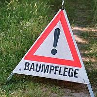 Schild Baumpflege