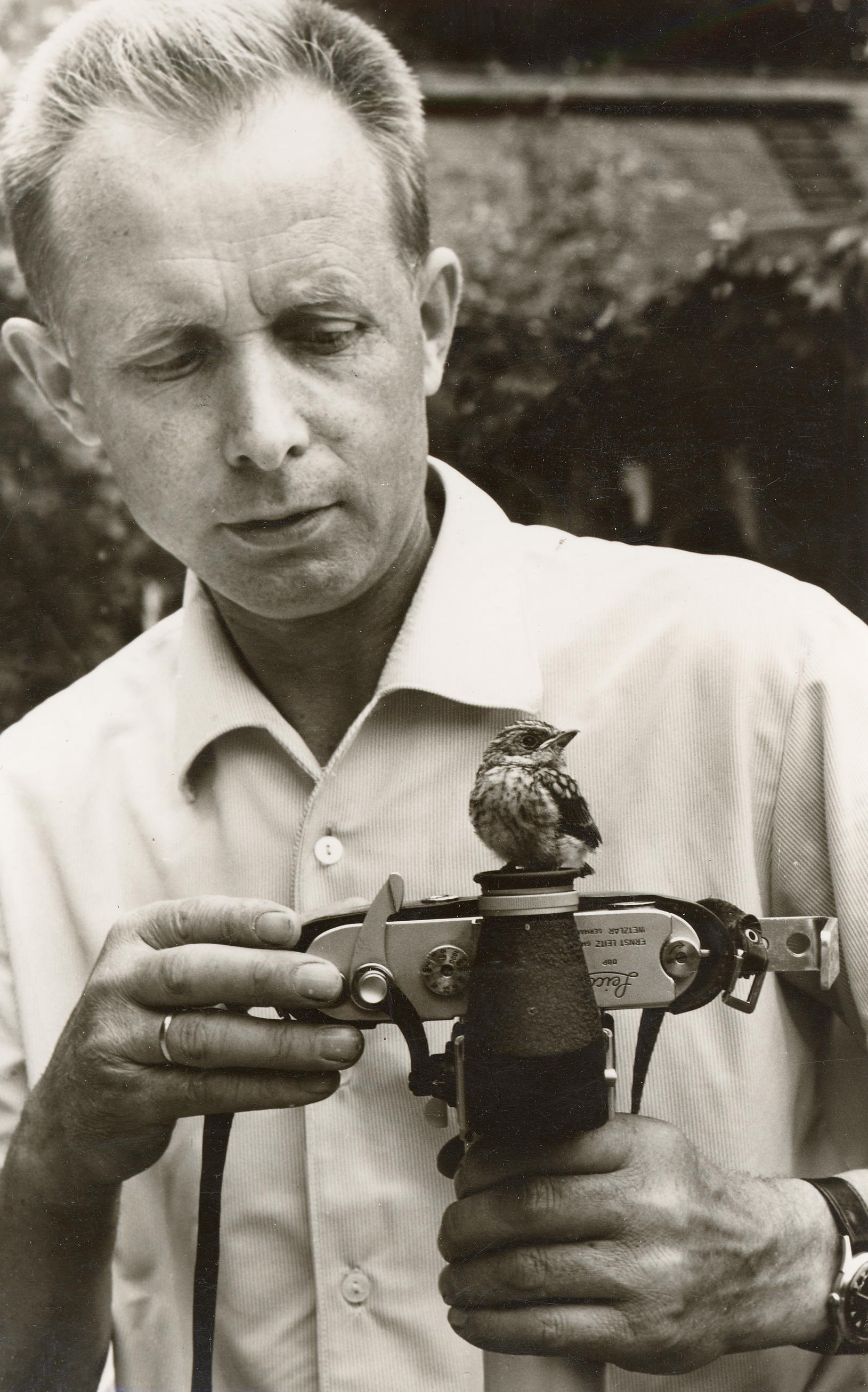 Hans Mallek mit Singdrossel auf seiner Leicakamera