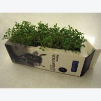 Petterssons-Gartenwerkstatt – (c)K.Schwermer-Funke