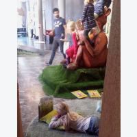 Entdecken und Lesen – © Daniela Frackmann